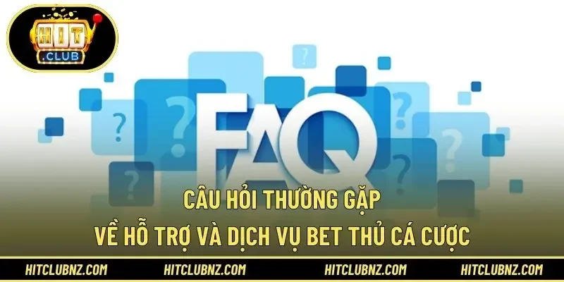 Câu hỏi thường gặp về hỗ trợ và dịch vụ bet thủ cá cược